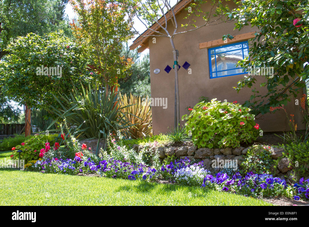 Stile Southwestern sparso tra fiori e vegetazione lussureggiante in un bellissimo giardino nel cortile Foto Stock