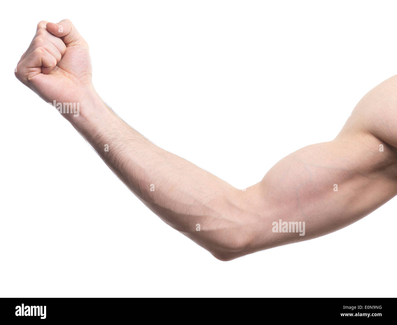 Primo piano di un uomo di braccio con in mano un pugno isolato su sfondo bianco Foto Stock