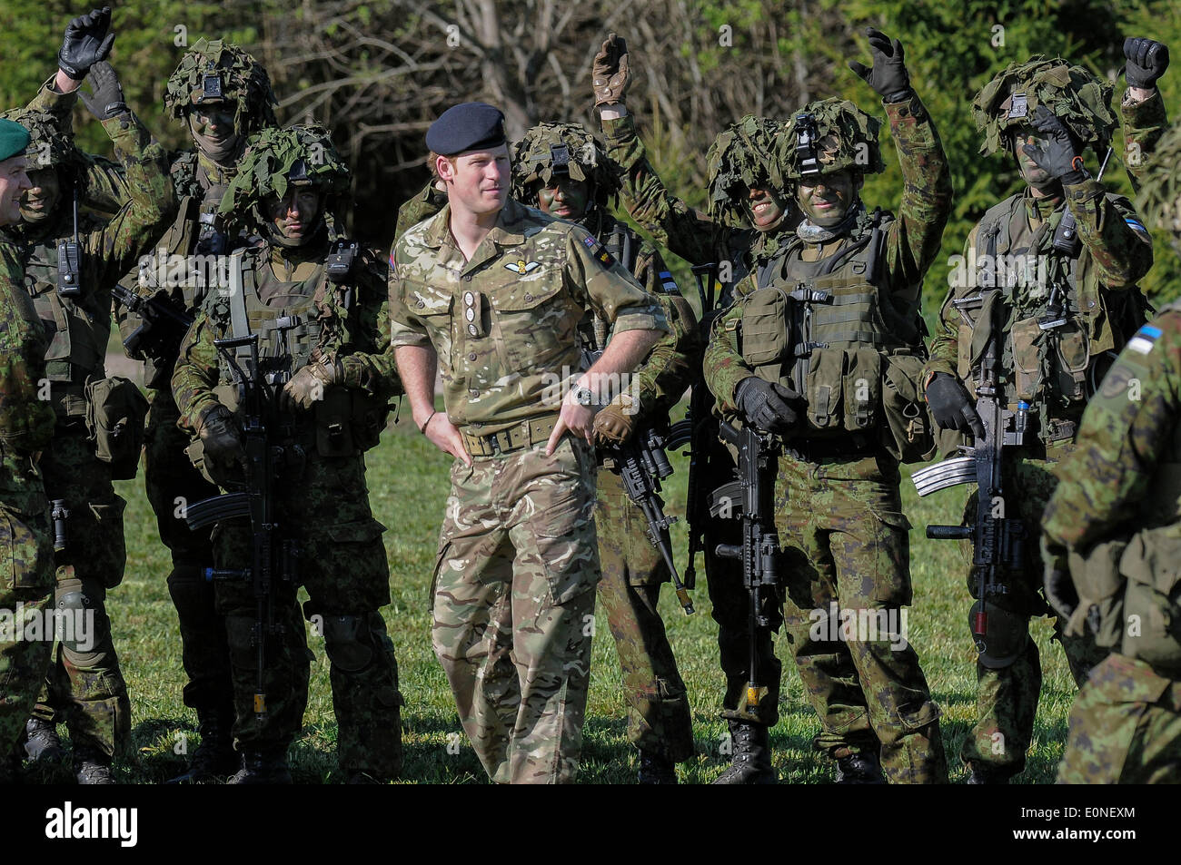 Polgaste, Estonia. Il 17 maggio 2014. La Gran Bretagna è il principe Harry(C) incontra i soldati dell'Estonia il 17 maggio 2014 durante una visita alla estone di Forze di Difesa pring annuale Stormtraining esercitazioni svolte nei pressi di Polgaste, non lontano dal confine Estonian-Russian nel sud dell'Estonia. Credito: Sergei Stepanov/Xinhua/Alamy Live News Foto Stock