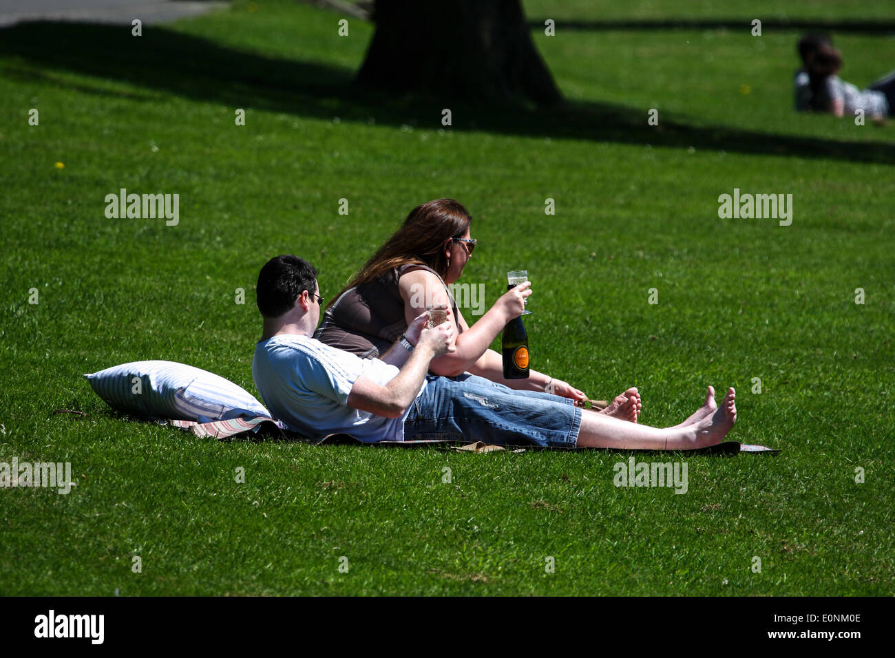 Lucertole da mare a Roundhay Park a Leeds Foto Stock