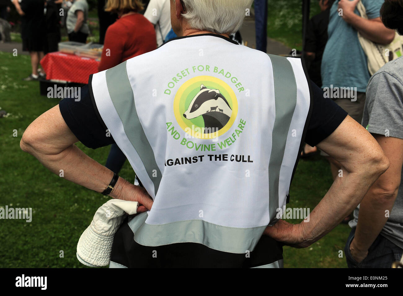 Anti-badger cull marcia di protesta, Dorset, Gran Bretagna, Regno Unito Foto Stock