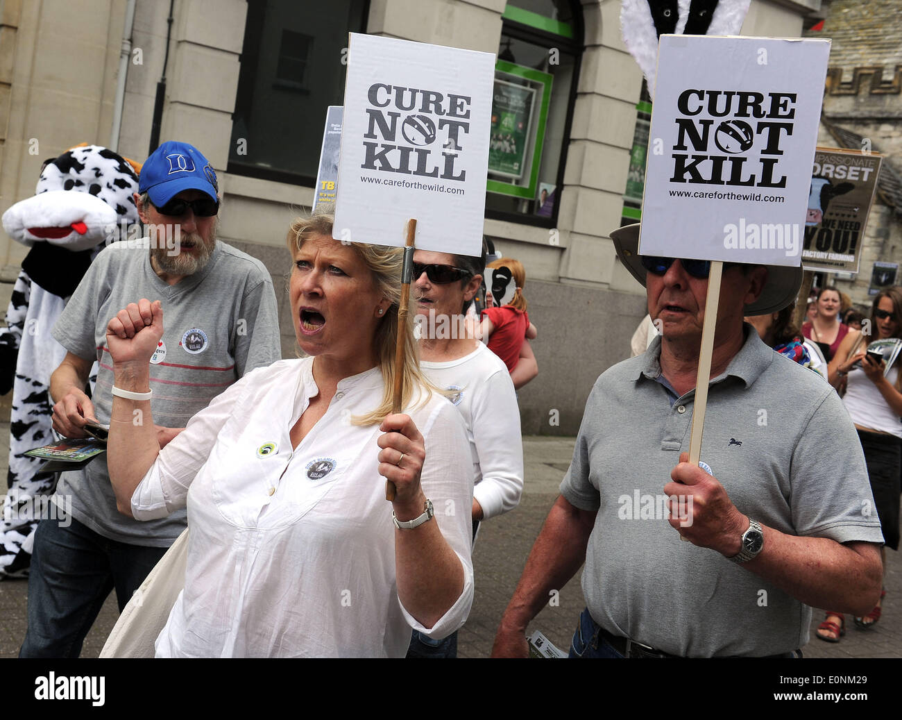 Anti-badger cull marcia di protesta, Dorset, Gran Bretagna, Regno Unito Foto Stock