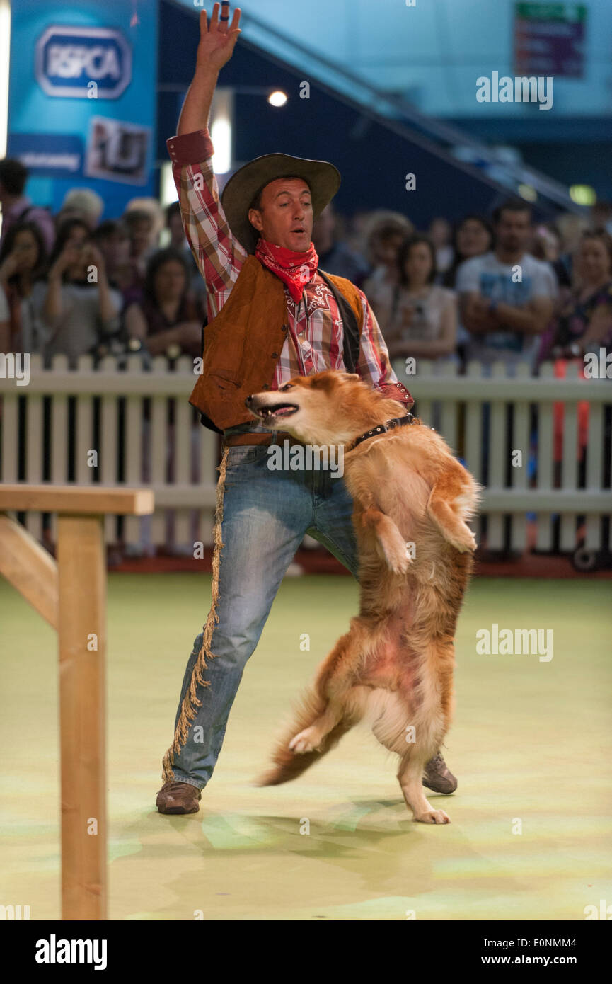 Londra, Regno Unito. Il 17 maggio 2014. Il London Pet Show sponsorizzato da My Pet online. Zoflora super programma teatro include il SuperDogs Live Semi Finali con il Regno Unito più divertente e di talento di cani di eseguire. Il Pet Show ha zone per gatti, cani piccoli Furries e degli animali acquatici e rettili con dimostrazioni dal vivo. Credito: Malcolm Park editoriale/Alamy Live News Foto Stock