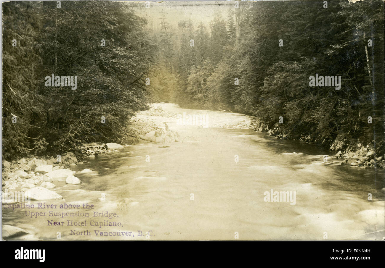 Il Capilano river al di sopra del piano superiore di sospensione ponte, vicino a Hotel Il Capilano, North Vancouver, B.C. Foto Stock