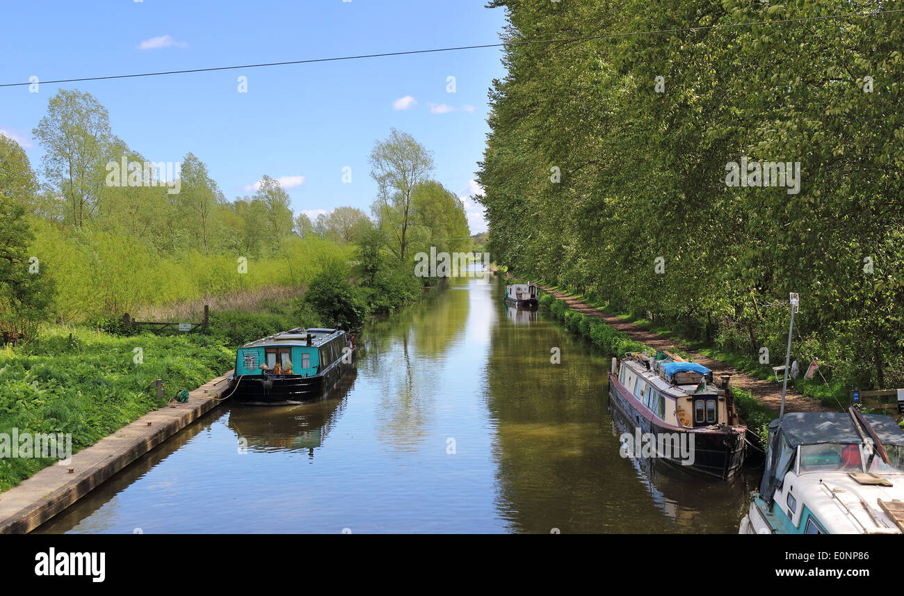 Narrowboats ormeggiato sul Kennet and Avon Canal in Inghilterra rurale Foto Stock