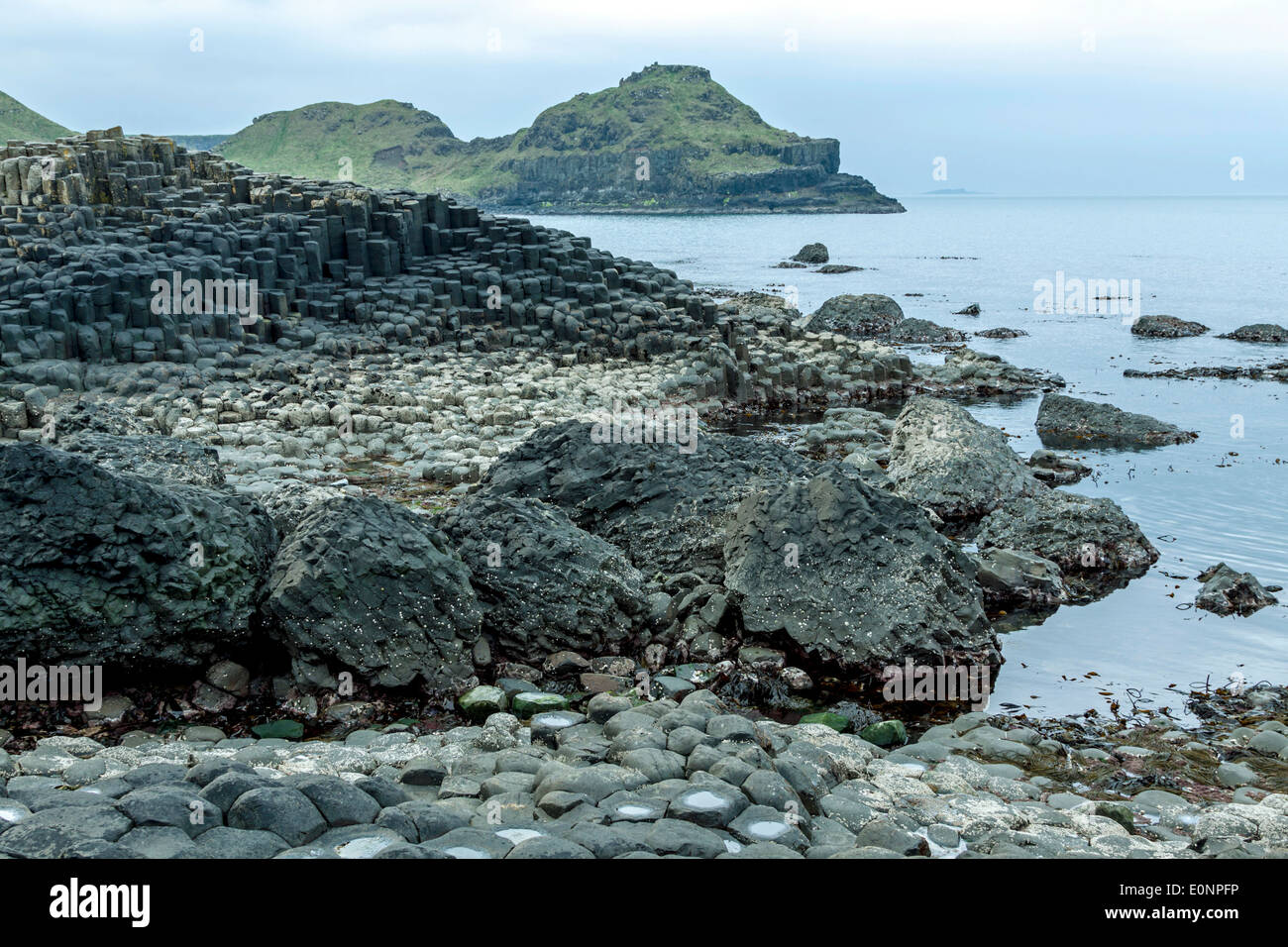 Giant's Causeway, un famoso sito patrimonio mondiale dell'UNESCO, situato sulla costa di Antrim in Irlanda del Nord, Regno Unito. Foto Stock