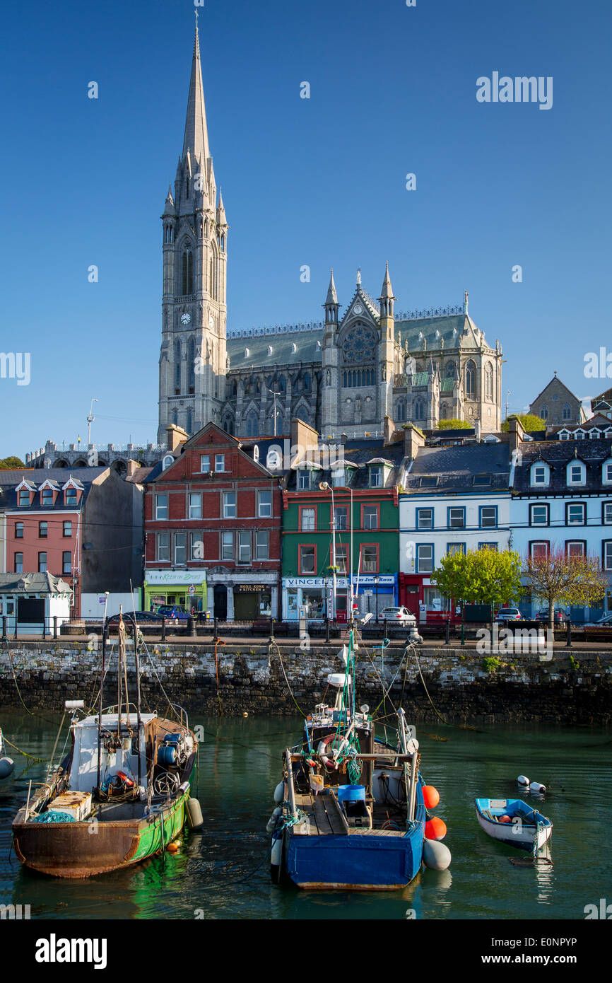 Barche da pesca al di sotto di San Coleman Cattedrale e la città di Cobh, Irlanda Irlanda Foto Stock