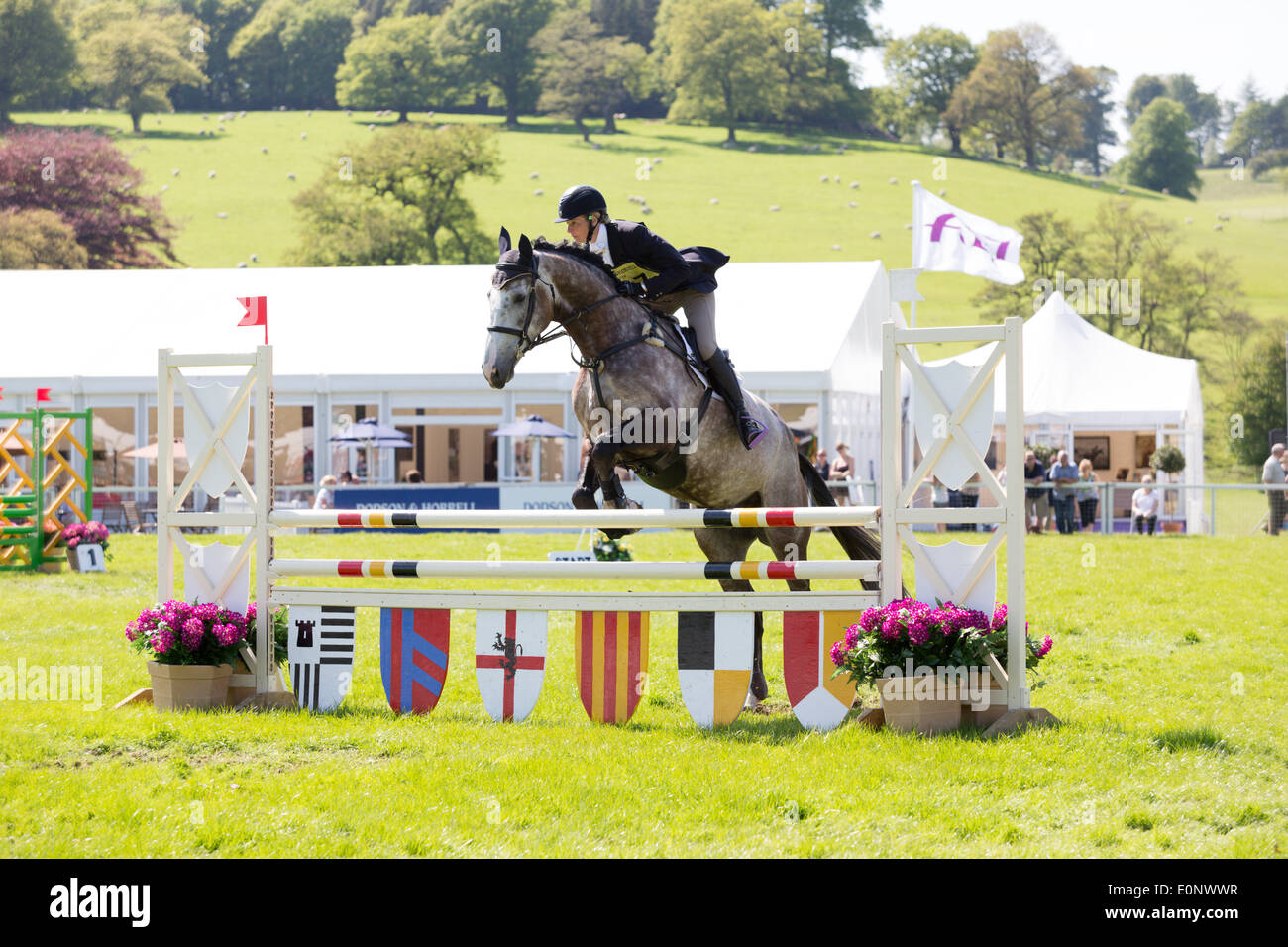 ‎Chatsworth, Bakewell, Derbyshire, Regno Unito. Il 17 maggio 2014. Laura Fredericks (AUS) riding Cos io durante il debuttante Sezione D Show Jumping nel main arena a Chatsworth International Horse Trials Credito: qualsiasi fotografia4/Alamy Live News Foto Stock