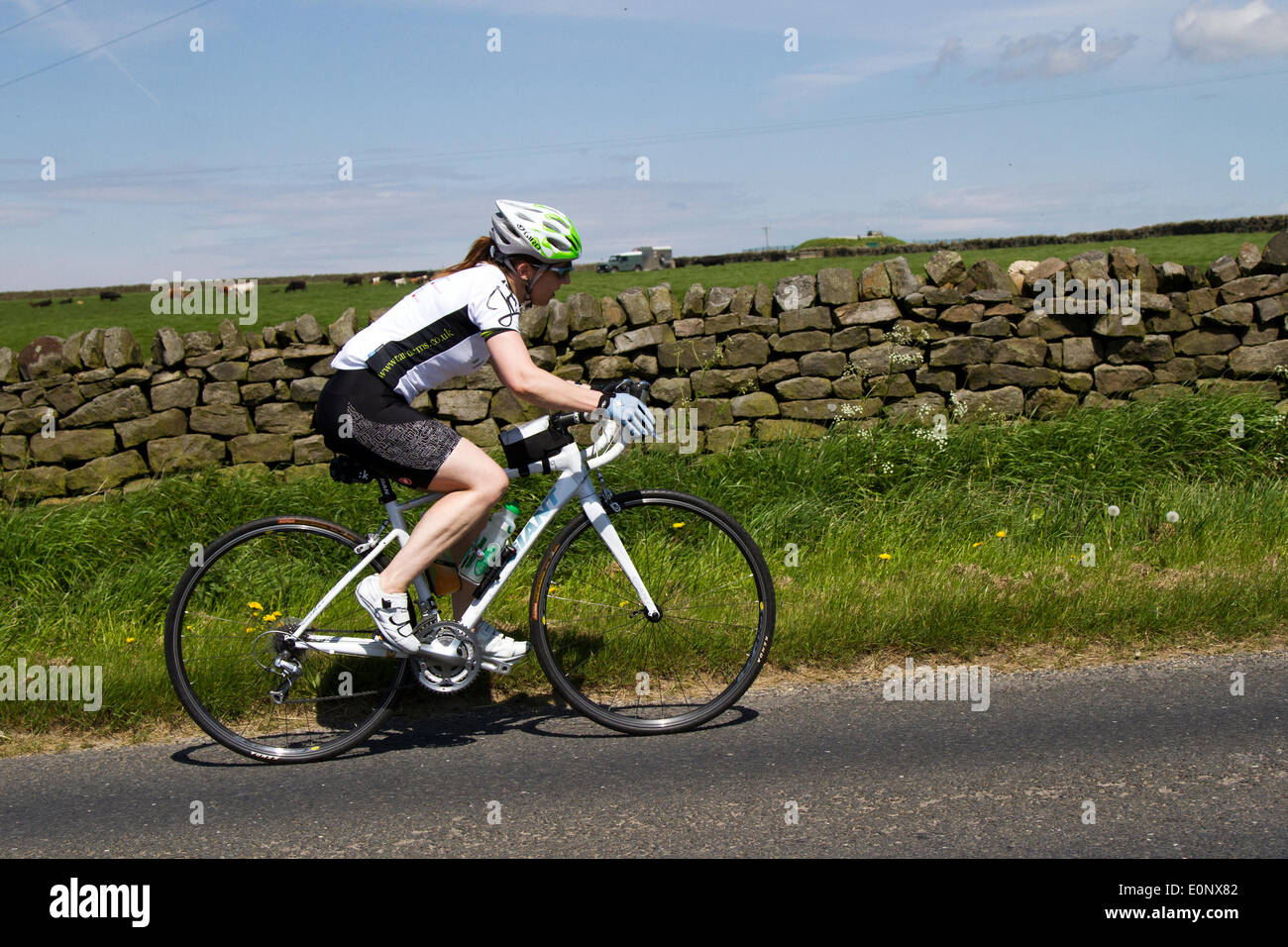 Nidderdale, nello Yorkshire, Regno Unito. 17 Maggio 2014: Otley sportive Ciclismo hosting organizzazione il loro primo solo per donne sportive. La Sportiva ha offerto ai partecipanti la possibilità di scegliere tra due itinerari - un mezzo 40 chilometro di tragitto dal Pool per Harrogate poi Wetherby, e indietro e un più lungo 100 chilometri di corsa che si svolgerà a ponte Pateley, Knaresborough e Wetherby. Foto Stock