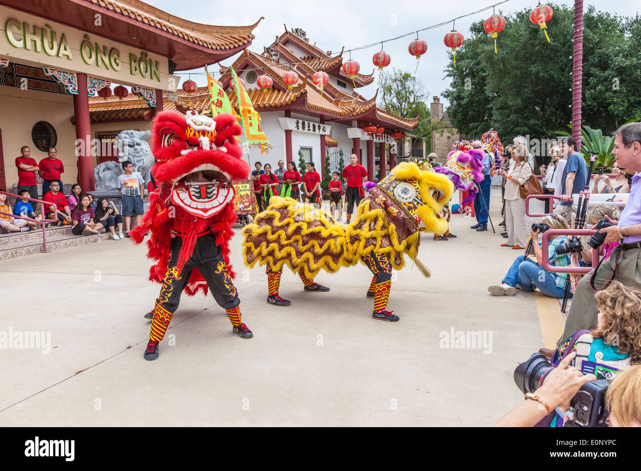 Ballo del leone al tempio Teo-Chew, tempio vietnamita e taoista nel sud-ovest di Houston, Texas. Foto Stock