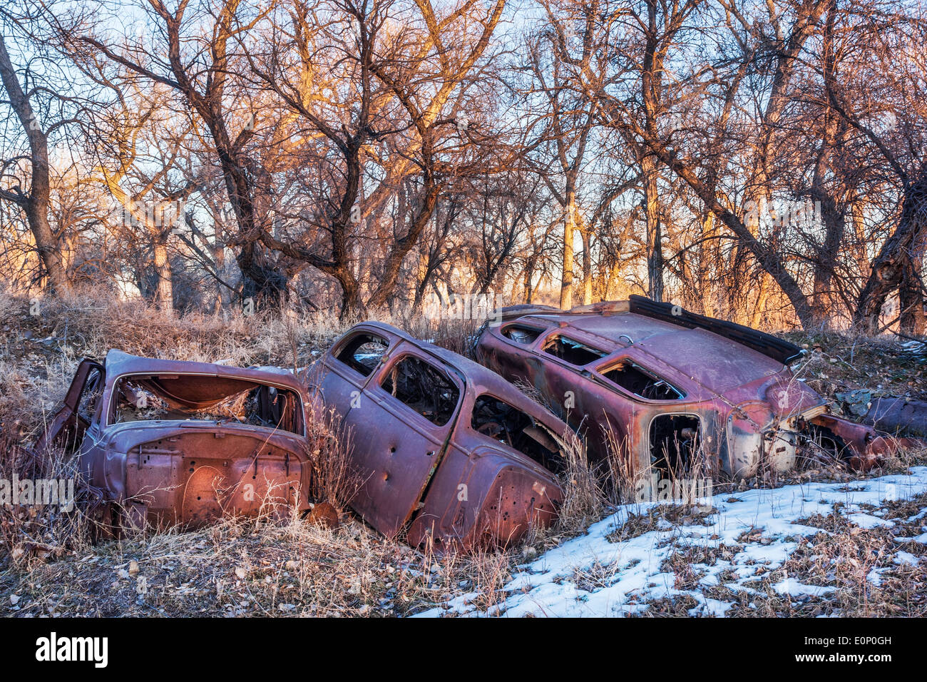 Rusty junk auto abbandonate nei boschi - inquinamento ambientale concetto Foto Stock