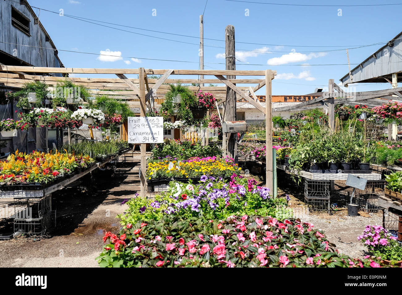 Un vivaio vende piante di biancheria da letto, gli alberi e i fiori in primavera in Oklahoma City, Oklahoma, Stati Uniti d'America. Foto Stock