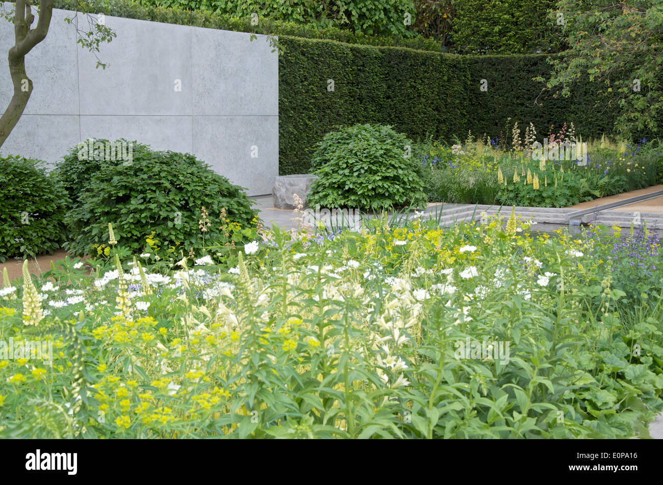 Il Laurent-Perrier giardino disegnato da Luciano Giubbilei at Chelsea Flower Show 2014. Il giardino accosta soft e hard strati naturali e ha vinto una medaglia di oro e Best in Show award Foto Stock