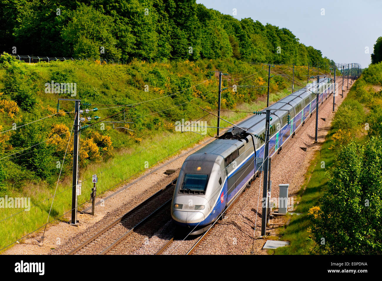 Duplex TGV francese ( high-speed rail service ) nel LGV Sud-Est vicino a Sens, Francia Foto Stock