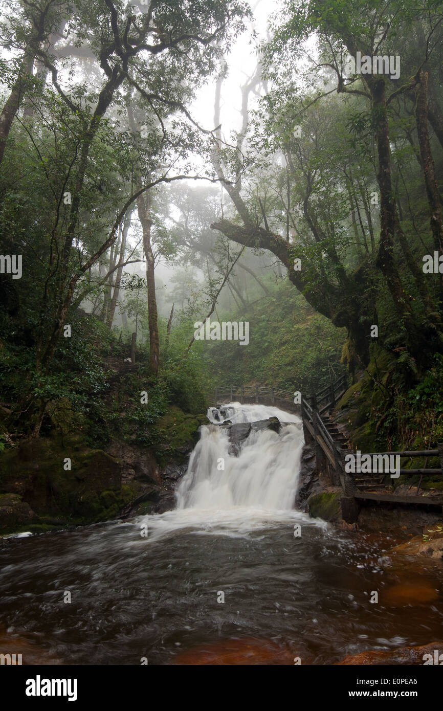 Fiume e piccola cascata in una nebbiosa foresta disabitata in Vietnam Foto Stock