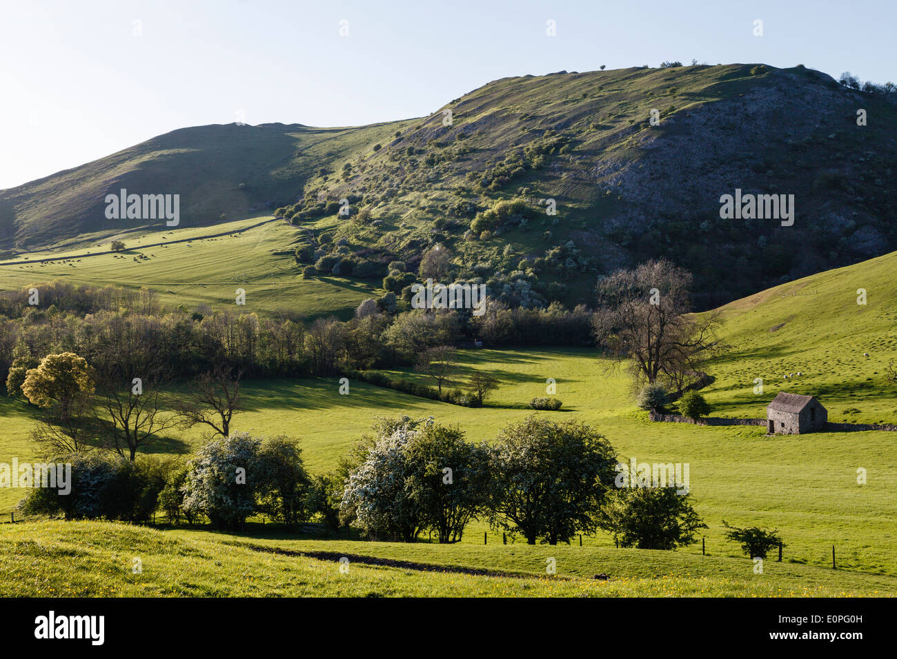 E Dovedale Bunster Hill, Parco Nazionale di Peak District, Derbyshire Foto Stock