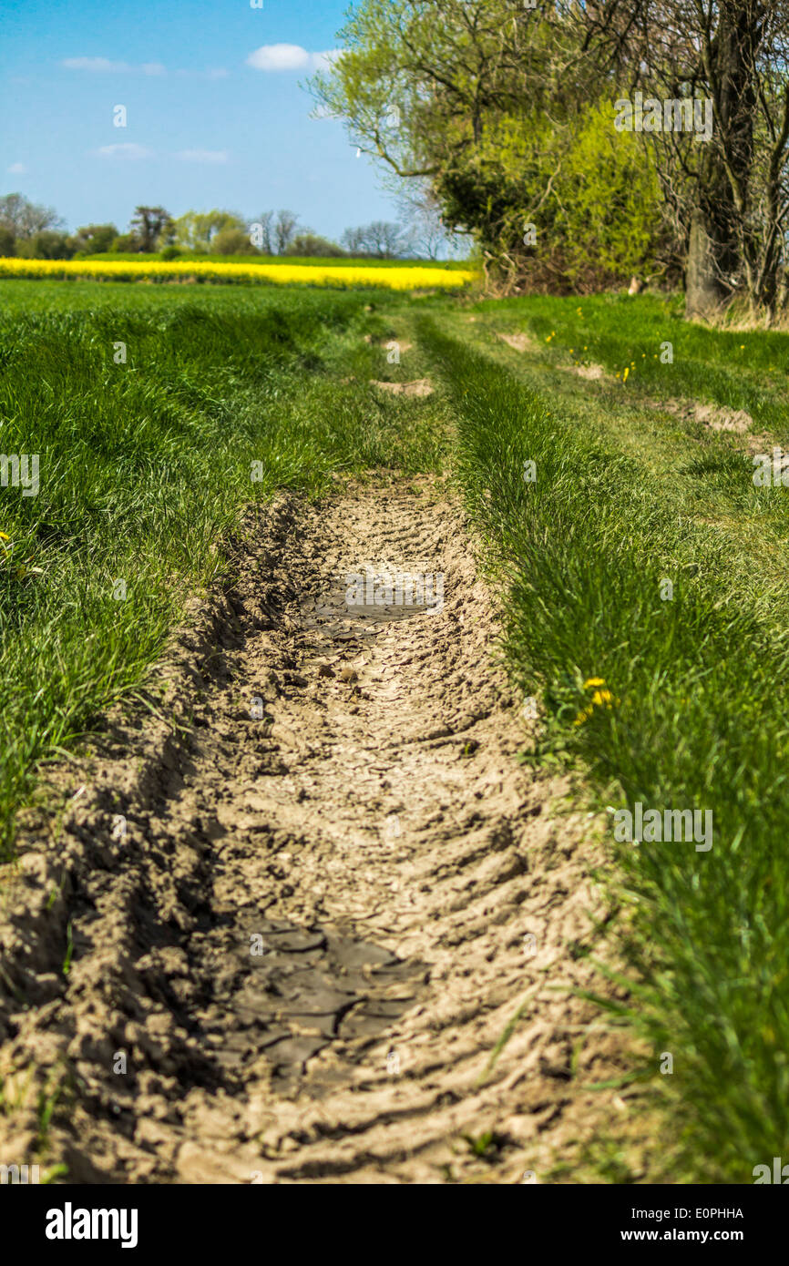 Pista sterrata di campagna sentiero pubblico Foto Stock