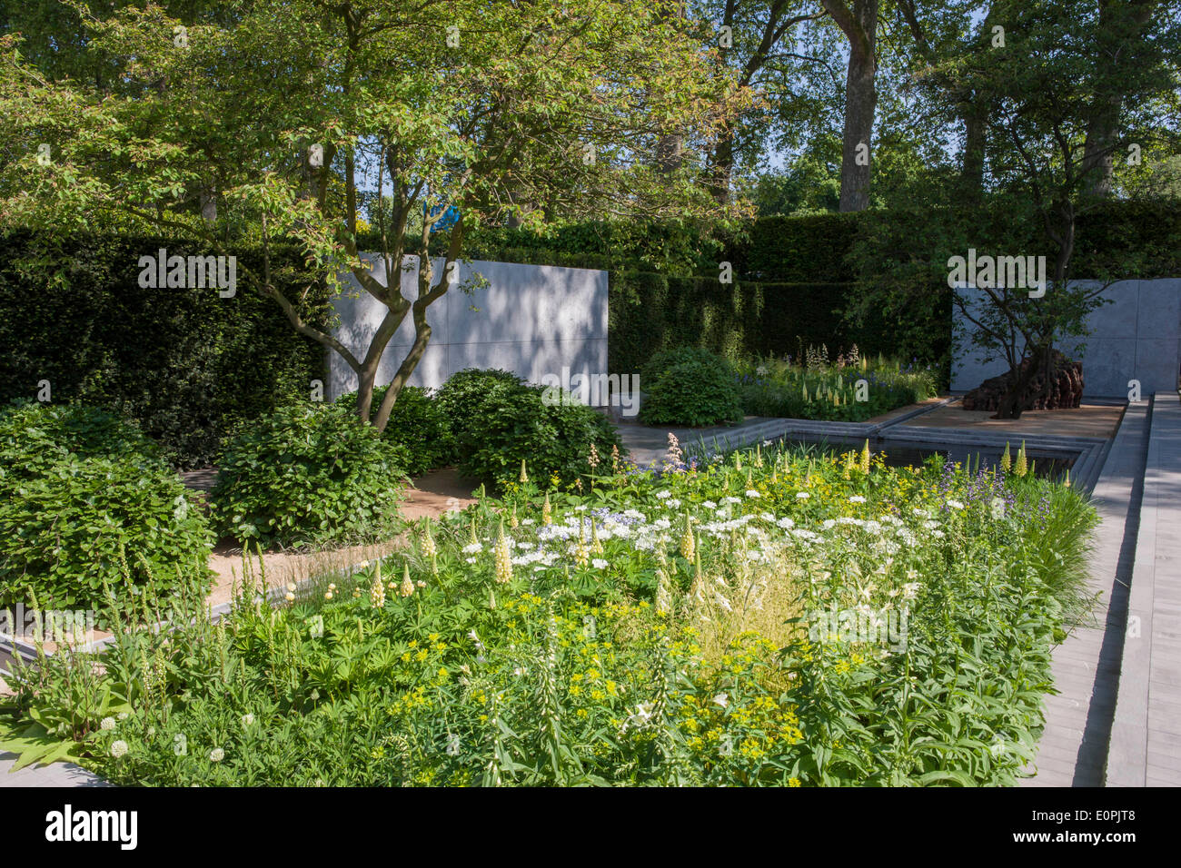 A Chelsea, Londra, Regno Unito. Il 18 maggio 2014. RHS Chelsea flower show 2014 Laurent Perrier Giardino , Designer Luciano Giubbilier Sponsor champagne Laurent Perrier- Credito: un giardino/Alamy Live News Foto Stock