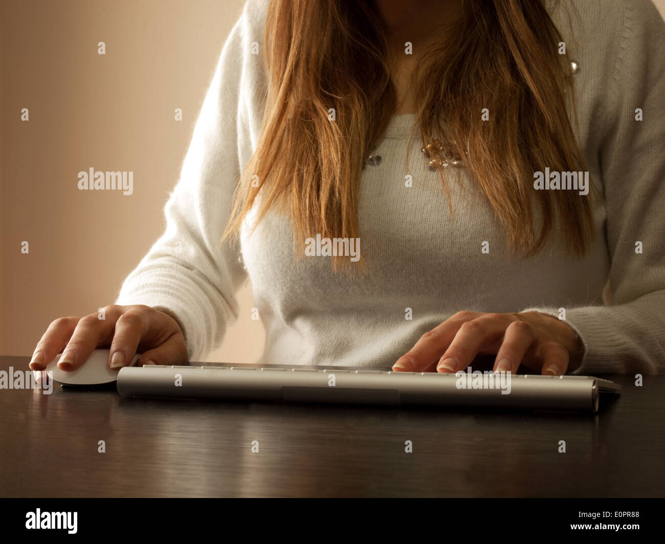 Capelli lunghi donna che lavorano al computer Foto Stock
