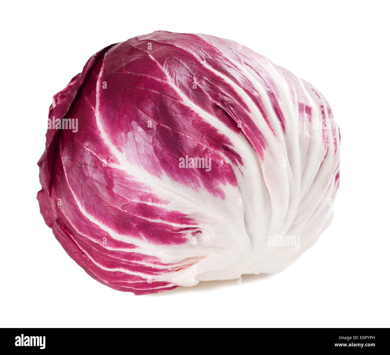 Il radicchio rosso isolato su bianco Foto Stock