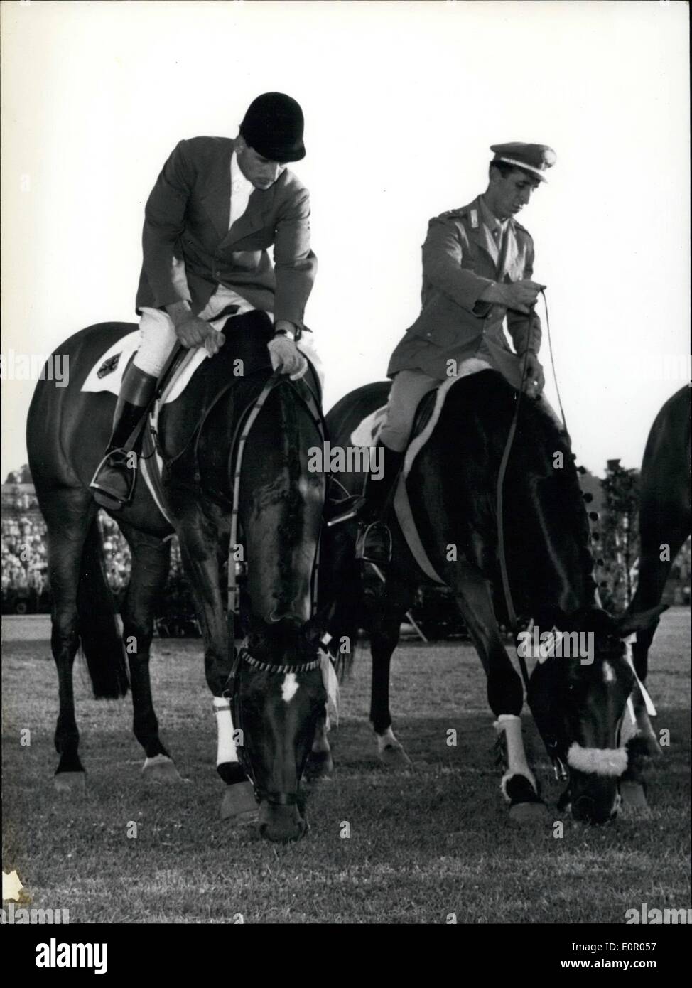 Lug. 07, 1957 - Dopo il campionato internazionale: i due cavalli dei due primi vincitori voleva solo un mucchio di gras di ristoro. A sinistra il vincitore H.G. Vinkler su 'HALLA' e Capitano Raimondo d' Inzeo su 'Merano' che è venuto il secondo posto al Campionato Internazionale di Aachen, domenica. Foto Stock