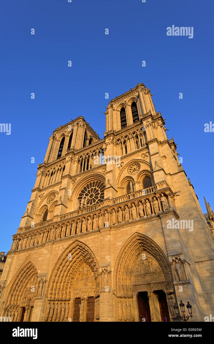 La cattedrale di Notre Dame, 6 Parvis Notre-dame, luogo Jean-Paul II, Ile de la Cite, quarto arrondissment, Parigi, Francia Foto Stock