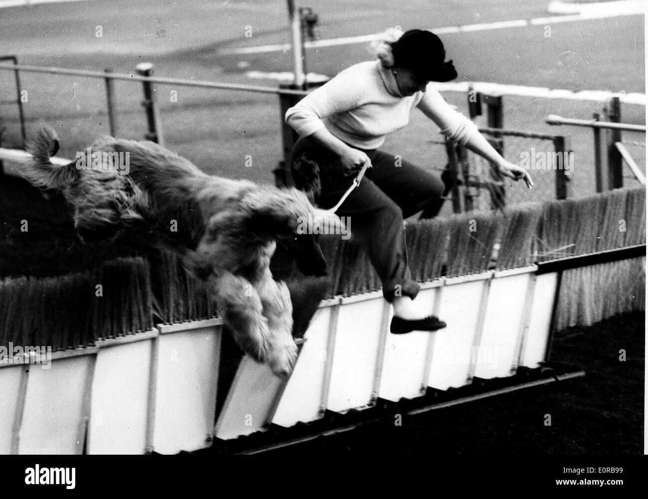 Nov 11, 1958; Londra, UK; JEAN BRIGGS e il suo Levrieri Afghani. Foto Stock