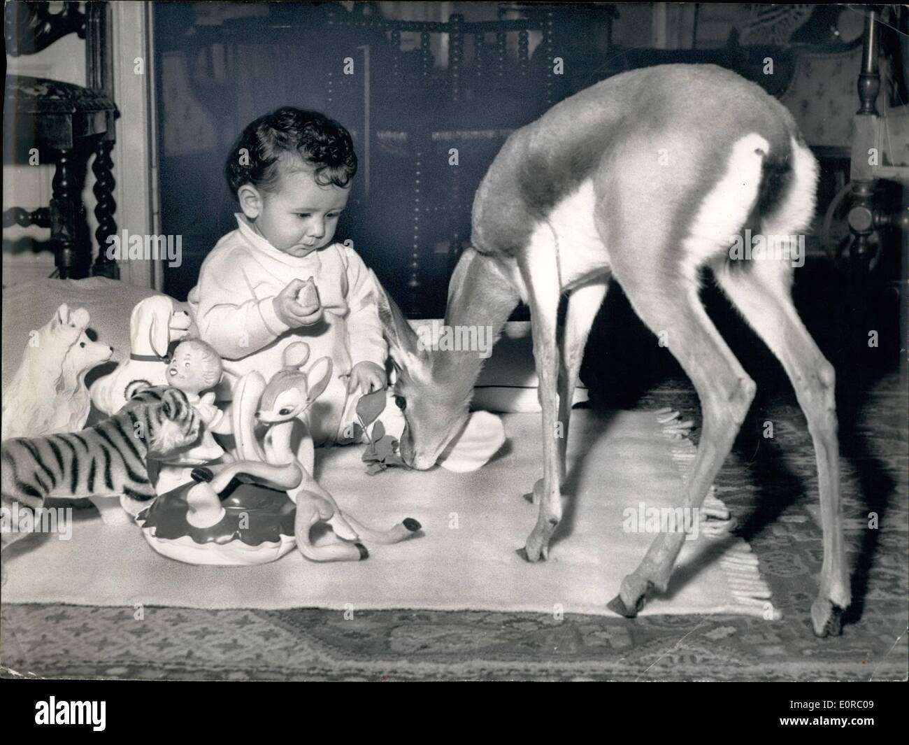 Il 12 Dic. 1958 - Nizza presente... Ma stiamo andando ad essere amico: un giovane fulvo da Bamako è stato dato come un regalo di Natale per 8 mese-vecchio Jean-Pierre Richard, figlio del famoso attore francese Jean Richard, da un anonimo ammiratore. Mostra immagine: Jean-Pierre Richard con il suo nuovo amico. Foto Stock