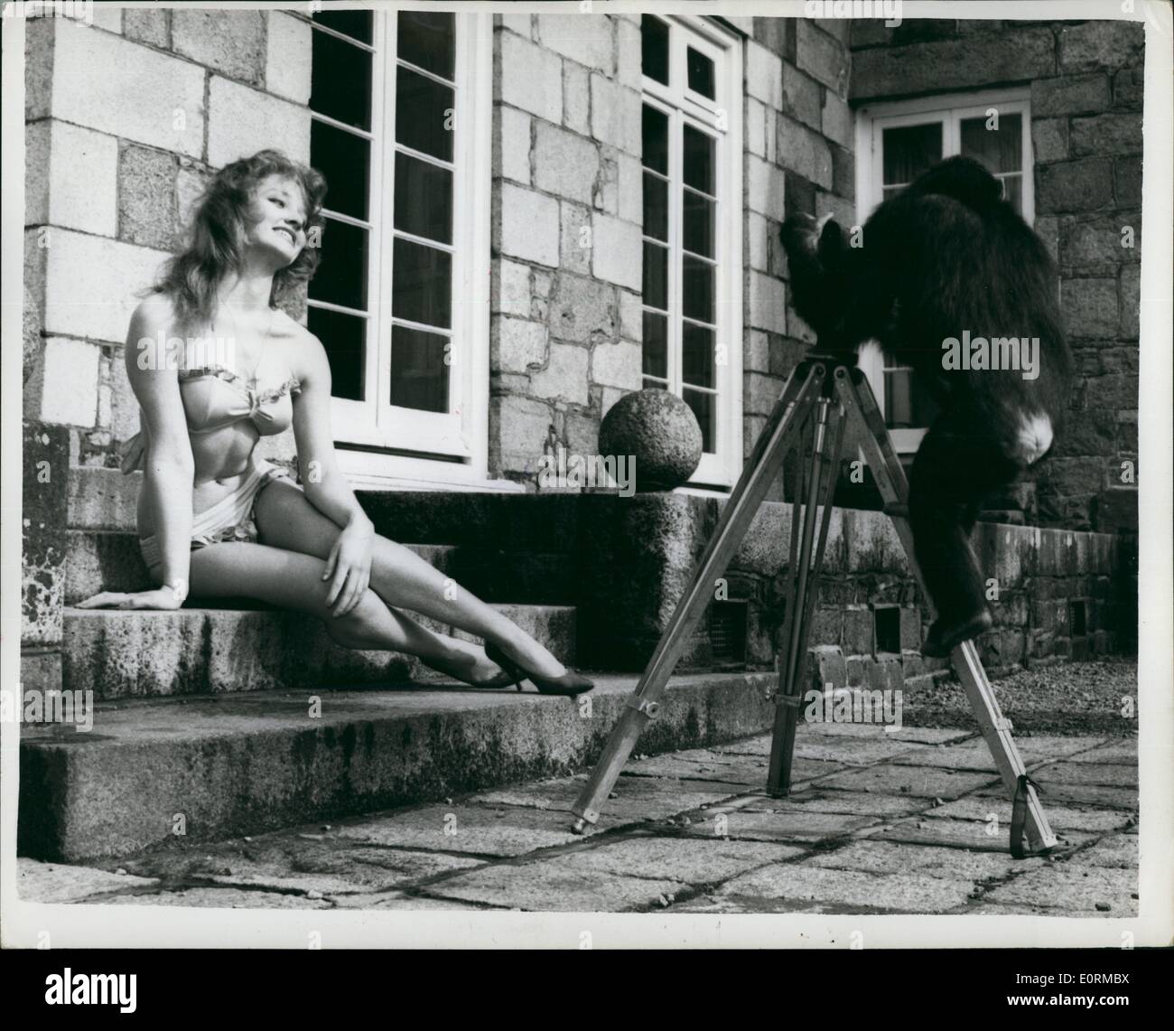Jan 1, 1960 - come è questo per gli amanti della fotografia: Lule, chimp da autore-collector Gerald Durrell's zoo in Jersey, è pieno zeppo di entusiasmo per ottenere una immagine di attraenti Pat Waigh come lei pone nel caldo sole Jessey. Foto Stock