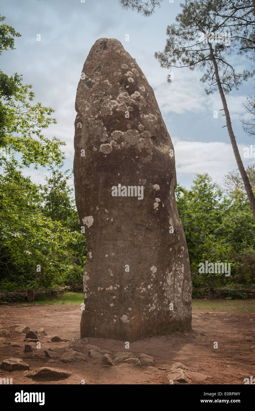 Geant du Manio preistorico enorme pietra permanente a Carnac, Morbihan, in Bretagna, in Francia, in Europa Foto Stock