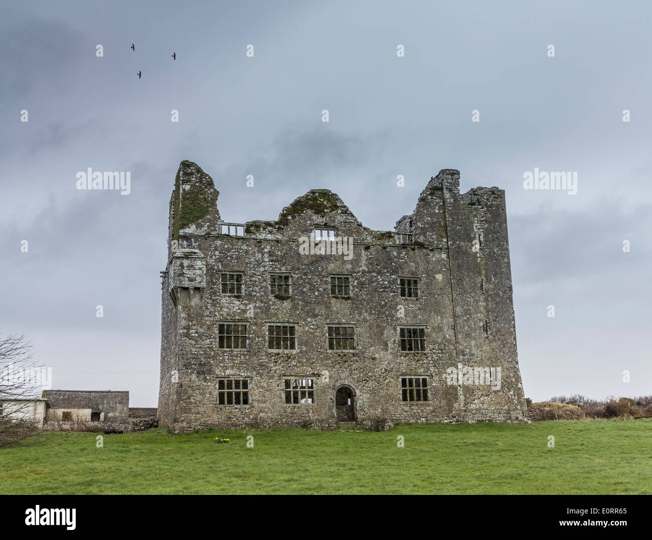 Il castello di Leamaneh rovina vicino a Burren, County Clare, Repubblica di Irlanda, Europa Foto Stock