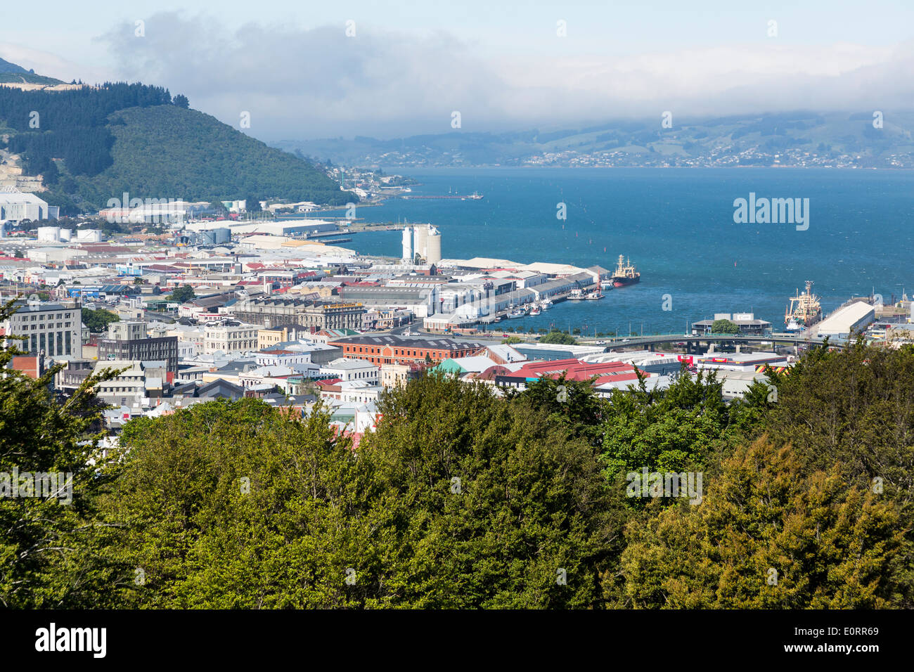 Nuova Zelanda, Dunedin e la penisola e la baia di Otago Foto Stock