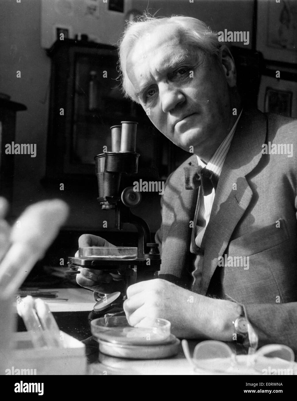 Il biologo Alexander Fleming lavora nel suo laboratorio Foto Stock