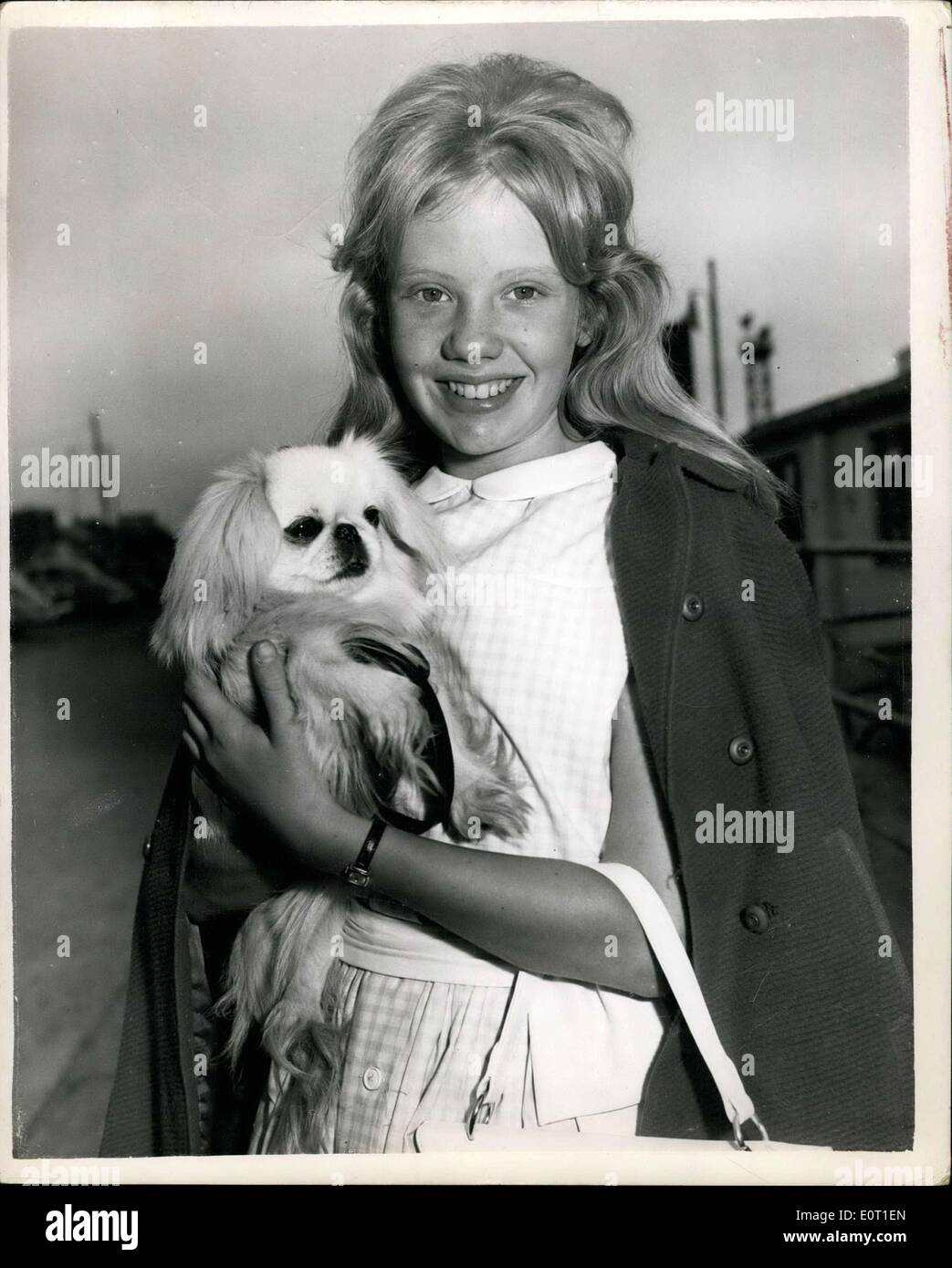Giugno 27, 1960 - Hayley mills foglie di Hollywood - a star nel nuovo film. Hayley Mills il 14 anni figlia di John Mills lasciato Londra aereo questa mattina per via di Hollywood new york - dove ella è a stella nel nuovo film di Disney ''Apparteniamo insieme ''. Nel film di Hayley raffigura due ruoli come giovani gemelli che diventano separati ma montante invecchiamenti dopo pochi anni - ad una vacanza estiva camp. Viaggiare con lei è madre Maria Hayley bell erano visti sfilare da John Mills. Mostra fotografica di Haley campana con il suo cane "iky'' all'aeroporto di Londra di questa mattina. Foto Stock