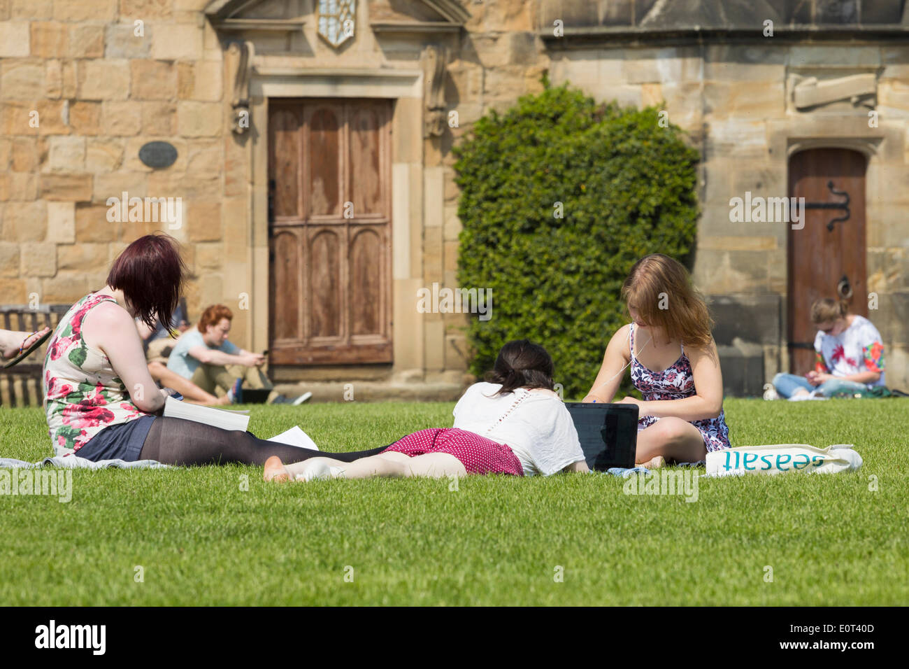 Gli studenti di studiare e di godere di maggio sunshine sull'erba vicino la Cattedrale di Durham. Durham, Inghilterra. Regno Unito Foto Stock