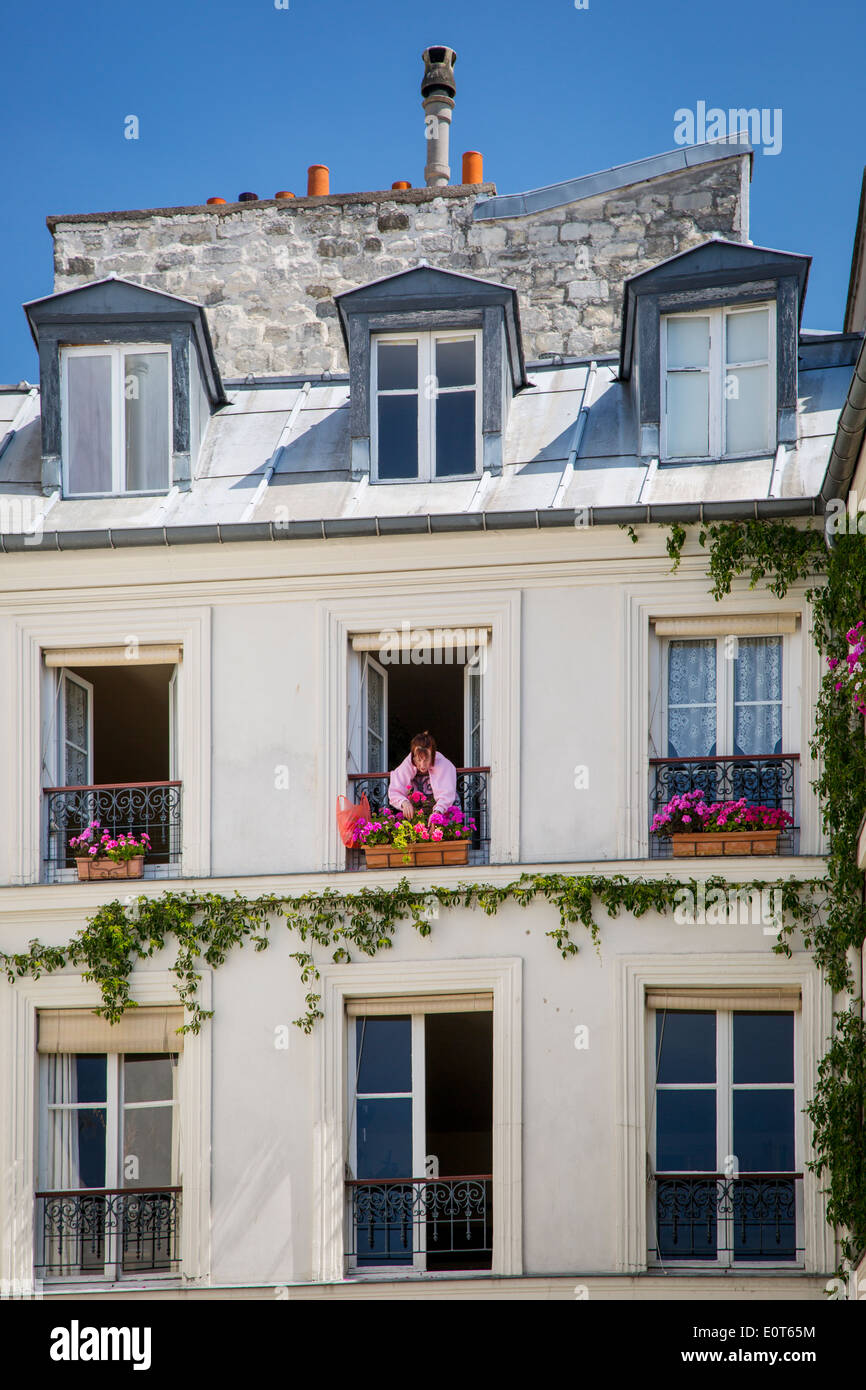 Donna rifilatura dei gerani sul balcone della finestra del suo appartamento nel quartiere Marais di Parigi Francia Foto Stock