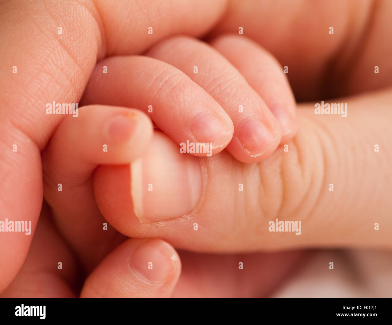 Babyhand umfasst Daumen - baby azienda madre del dito Foto Stock