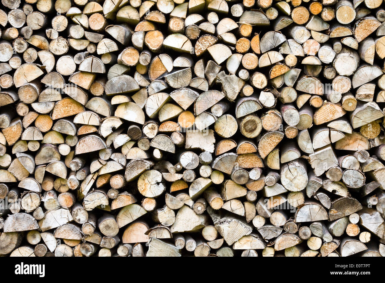 Brennholzstapel - Legna da ardere Foto Stock