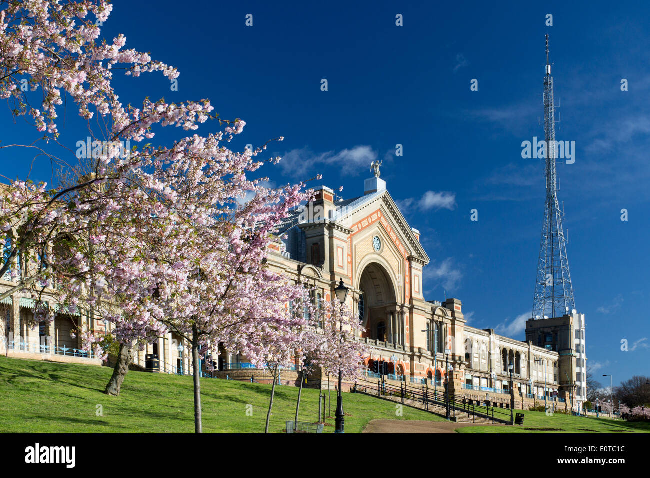 Alexandra Palace vista esterna in primavera con fiore rosa su alberi Muswell Hill Haringey North London Inghilterra England Regno Unito Foto Stock