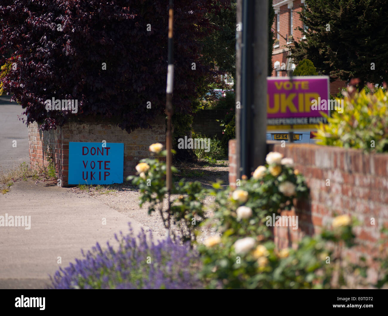 Voto UKIP e dont voto elettorale UKIP indicazioni presentate nella stessa strada Foto Stock