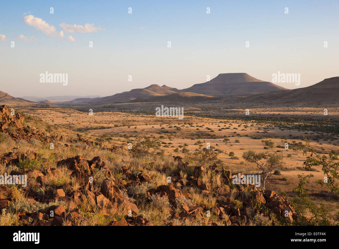 Savana Africana vista sulla concessione di Palmwag al tramonto Foto Stock