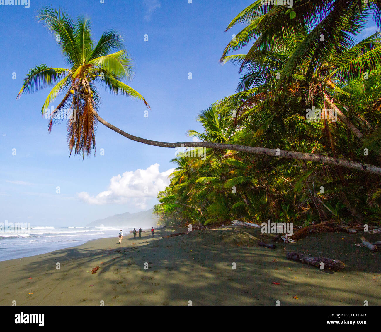 Passeggiate nel Parco Nazionale di Corcovado sulla costa del Pacifico di Costa Rica Foto Stock