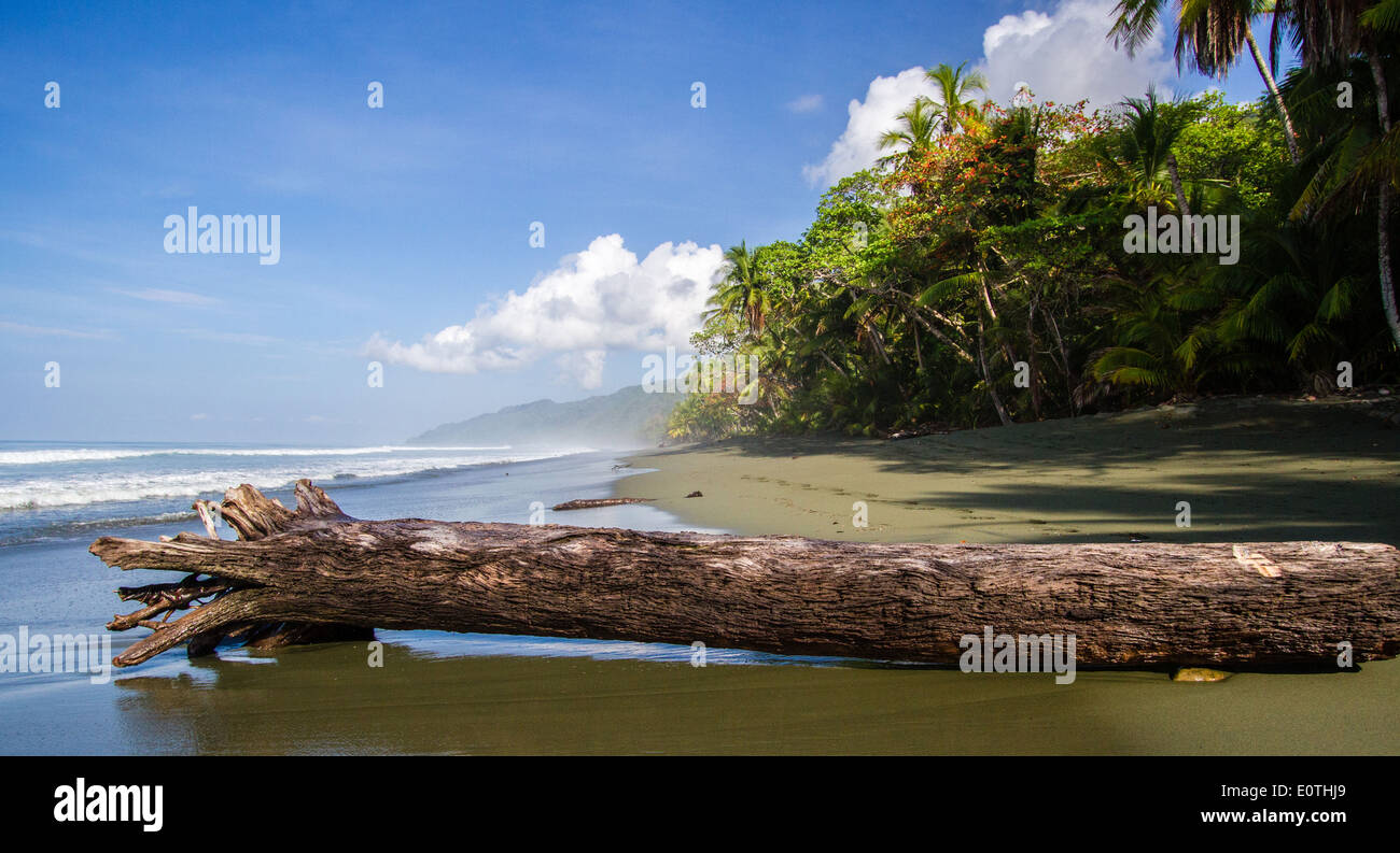 Spiaggia dal maritime la foresta pluviale del Parco Nazionale di Corcovado sulla penisola di Osa Costa Rica Foto Stock