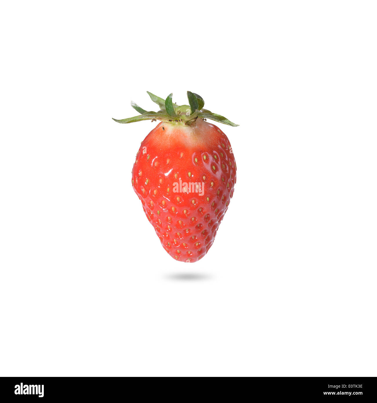 Close-up di fragole mature, fonte naturale di vitamina C, di potassio e di antiossidanti, con ombra su sfondo bianco Foto Stock