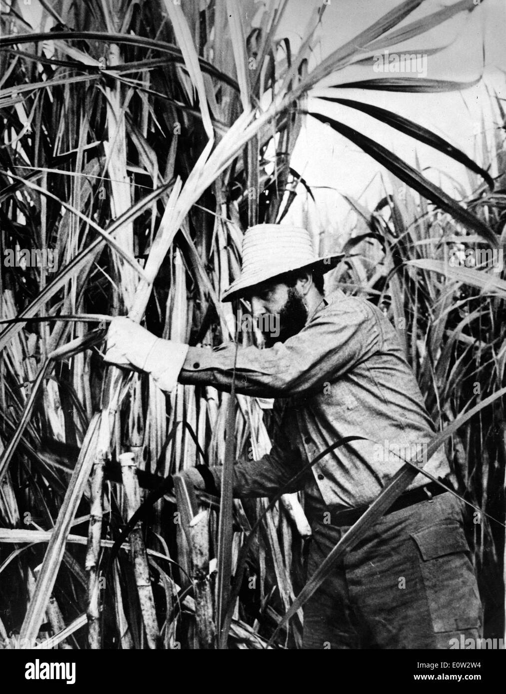Feb 13, 1961 - Havana, Cuba - FIDEL ALEJANDRO CASTRO RUIZ (nato il 13 agosto 1926) è stato il dominatore di Cuba a partire dal 1959, quando, portando il 26 luglio del movimento, egli distrusse il regime di Fulgencio Batista. Negli anni che seguirono ha sovrinteso alla trasformazione di Cuba nel primo stato comunista nell'emisfero occidentale. Foto Stock