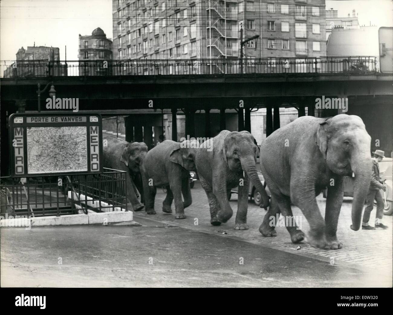 Gen 01, 1961 - Torna a trimestri invernali: gli elefanti del Cirque d'Hiver che sono state eseguendo nella periferia di Parigi durante Foto Stock