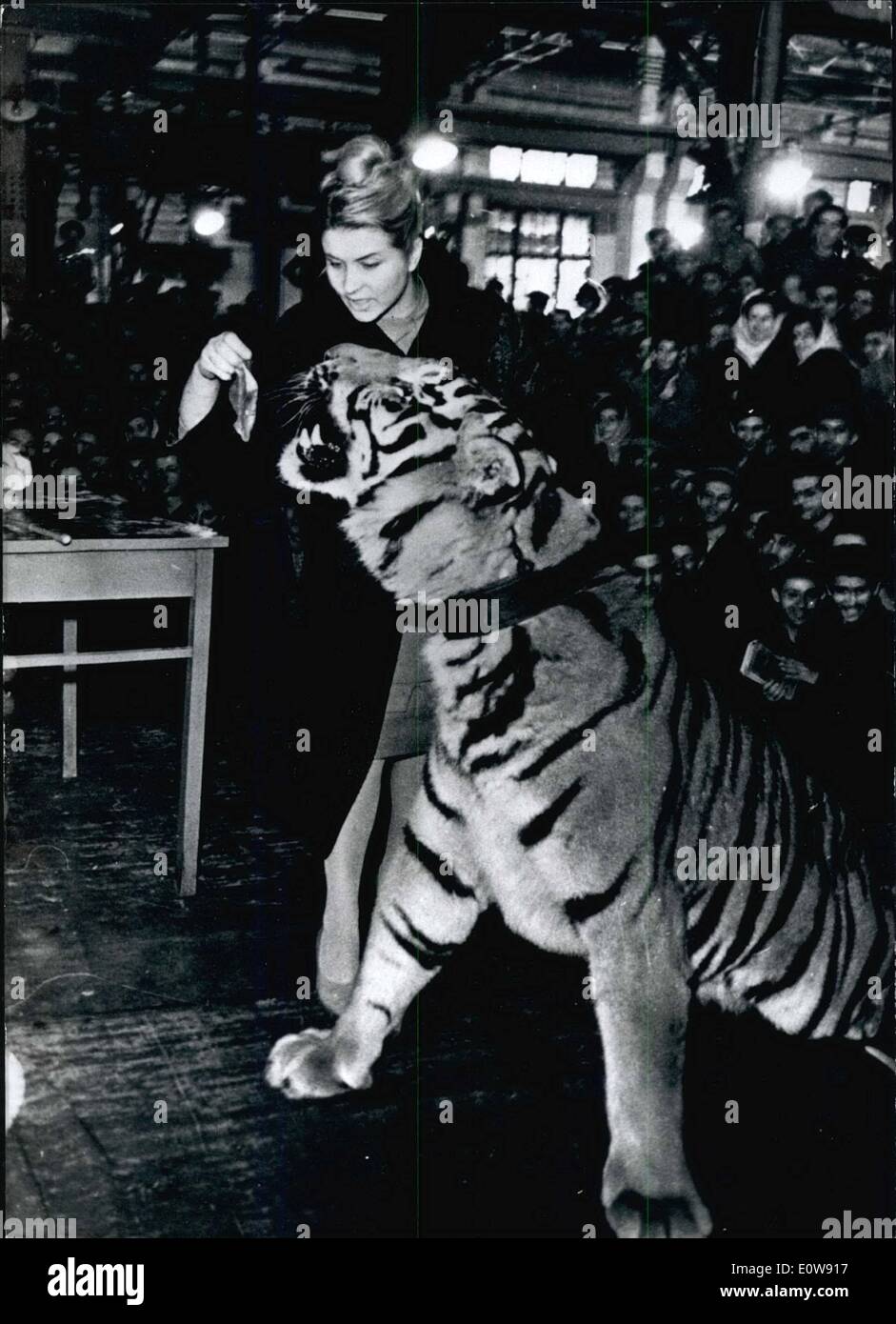 Febbraio 02, 1962 - tenendo il suo tiger sul collare è il famoso animale russo tamer Nazarova Margarita Margarita Nazarova - il nostro Foto Stock