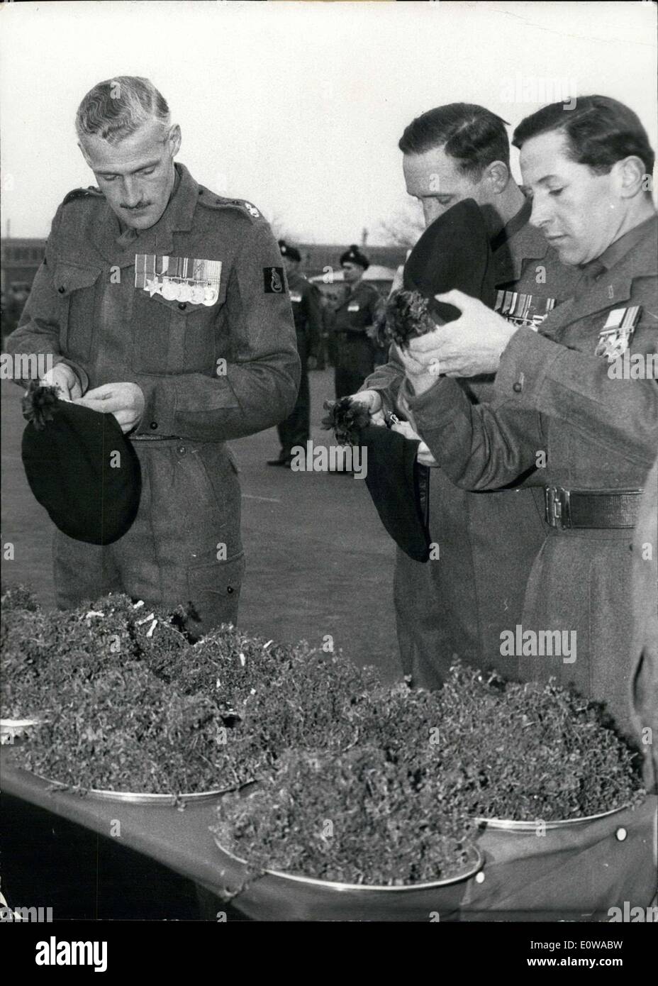 Mar 17, 1962 - Shamrock-mazzi da Irlanda :arrivati ieri all'aeroporto di Hannover in cui essi sono stati attentamente ricevuto da un funzionario del primo battaglione del Royal Irish Fusiliers. Il minuscolo tre-lasciava in pianta è la nazionale irlandese di simbolo e secondo una vecchia usanza, ad un po' di Shamrock-ciuffo è indossato dal Royal Irish  sulla festa di San Patrizio. Marzo 17th. La foto mostra in vista di una tale scelta, alcuni ufficiali  erano a dolori di effettuare la loro scelta, tutti volevano il più bel mazzo per il suo cappello. Foto Stock