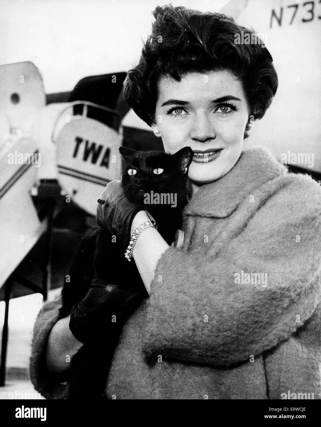 L'attrice Polly Bergen attorno al bordo di un TWA Super jet con il suo gatto Foto Stock