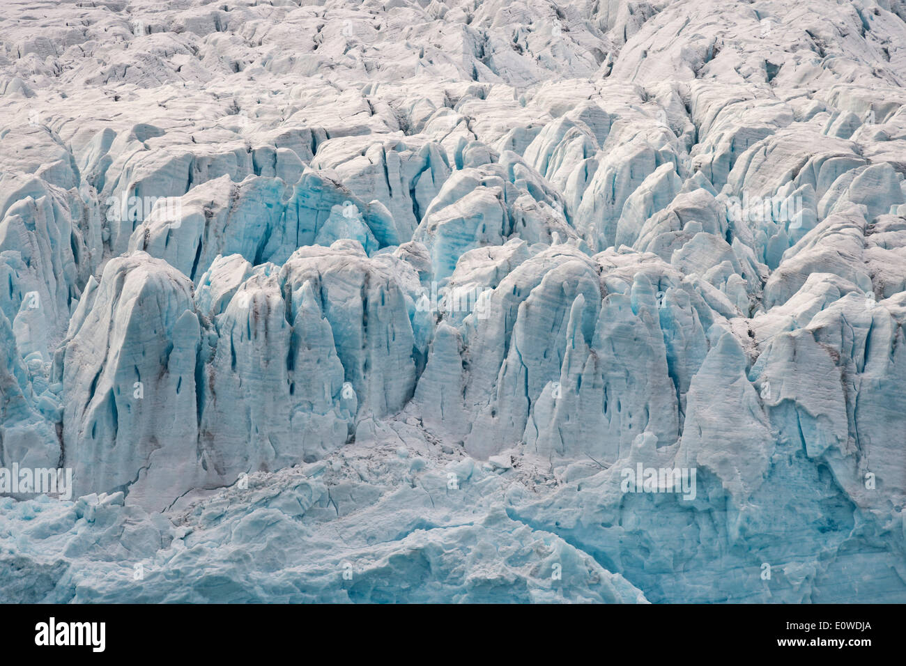 Scarps glaciale, Monacobreen ghiacciaio, Liefdefjorden fiordo, Spitsbergen, isole Svalbard Isole Svalbard e Jan Mayen, Norvegia Foto Stock